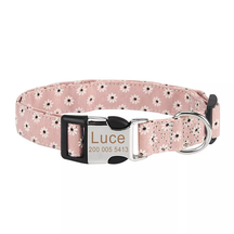 Personalized ID Pet Collar with Name & Phone Number – Tagwell™