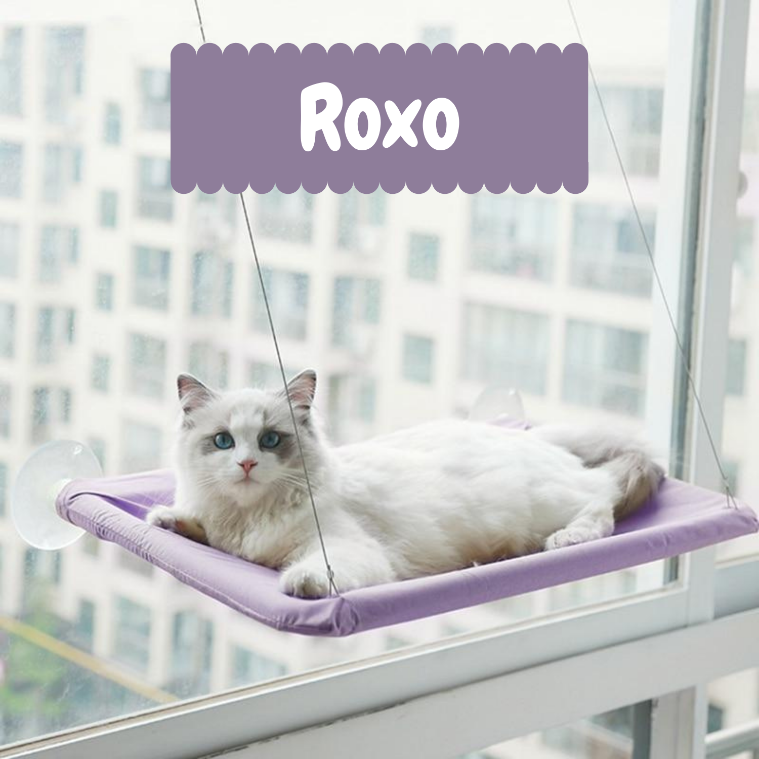 Window Cat Hammock with 4 Suction Cups & Oxford Fabric – VistaNest™