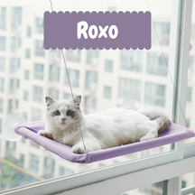 Suspended Window Cat Bed with Suction Cups – Perchly™