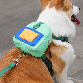 Backpack-Style Collar & Leash Set for Medium to Large Dogs – Wagport™