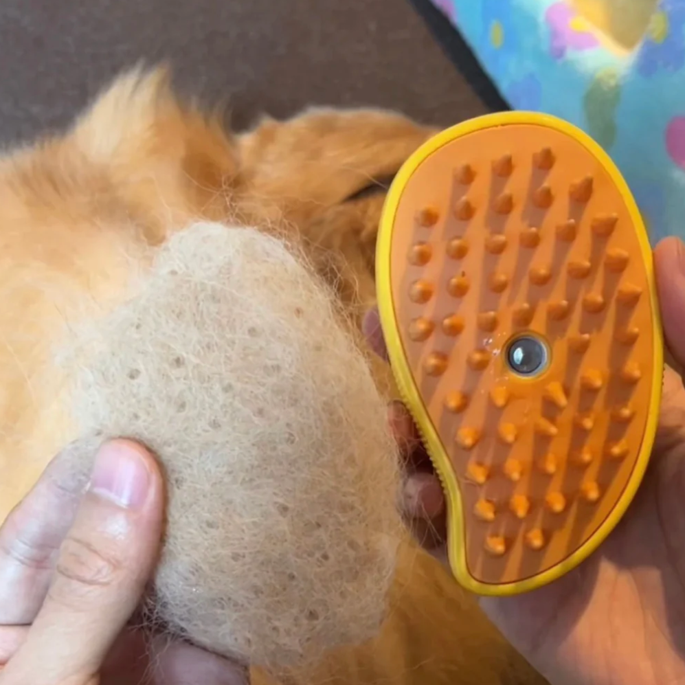 3-in-1 Steam Pet Grooming Brush for Dogs & Cats – Steamly™