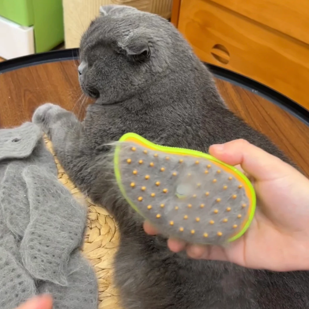 3-in-1 Steam Pet Grooming Brush for Dogs & Cats – Steamly™