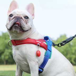 Soft Nylon Pet Chest Harness with Reflective Strip – Ondera™