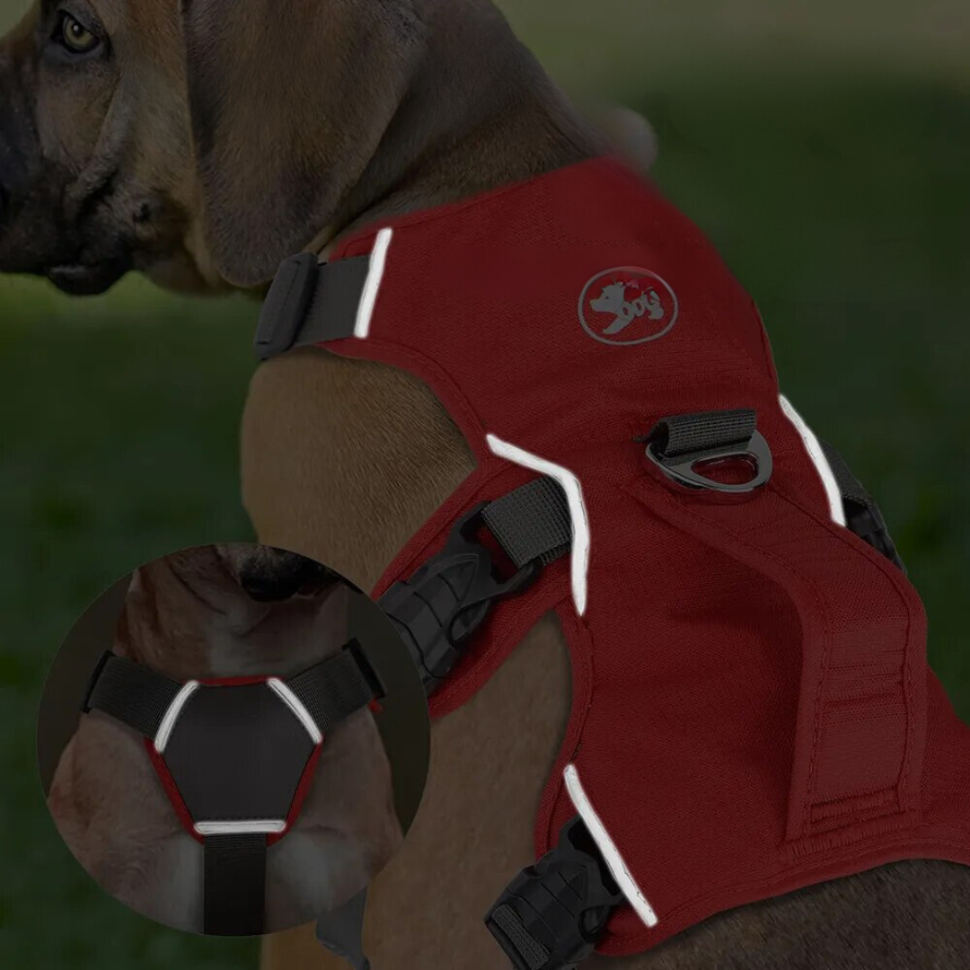 Padded Adjustable Chest Harness for Medium & Large Pets – Vorn™