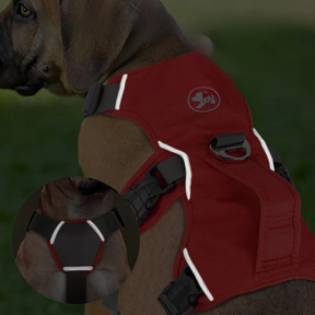 Padded Adjustable Chest Harness for Medium & Large Pets – Vorn™