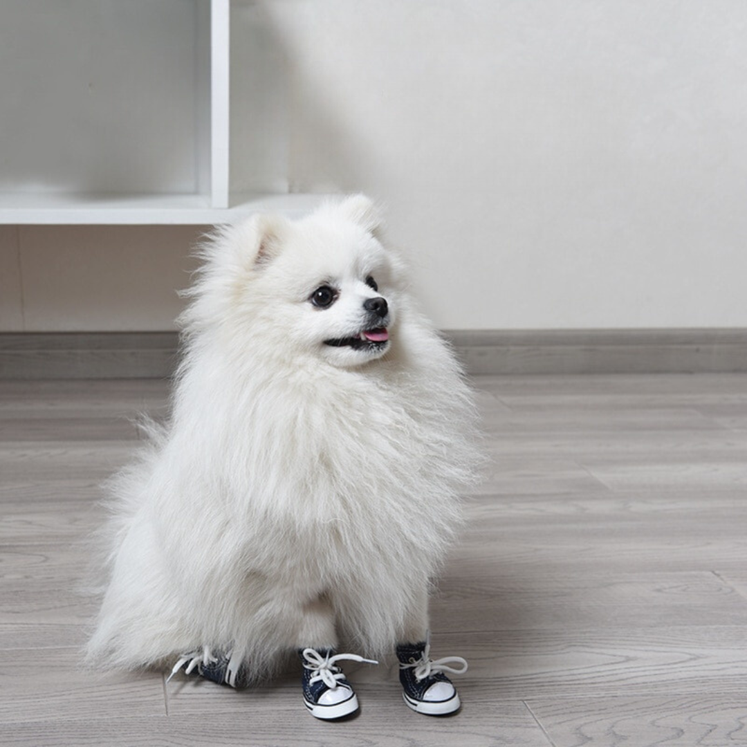 Denim Pet Sneakers, Navy Blue & Pink, Set of 2 Pairs – Quovex™