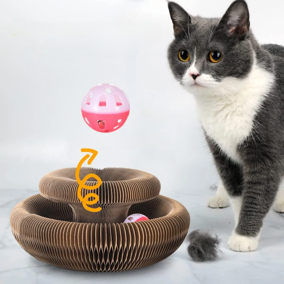 Corrugated Cardboard Cat Scratcher Disc with Ball – Scratchio™