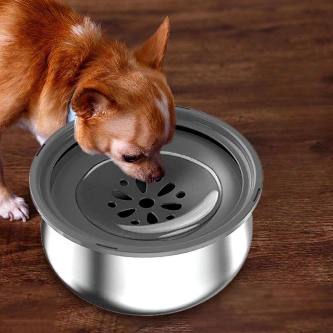 Anti-Splash Stainless Steel Floating Pet Bowl, 4L Capacity – Calmora™