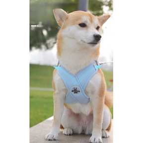 Adjustable Polyester Collar and Leash Set for Dogs and Cats – Zynn™