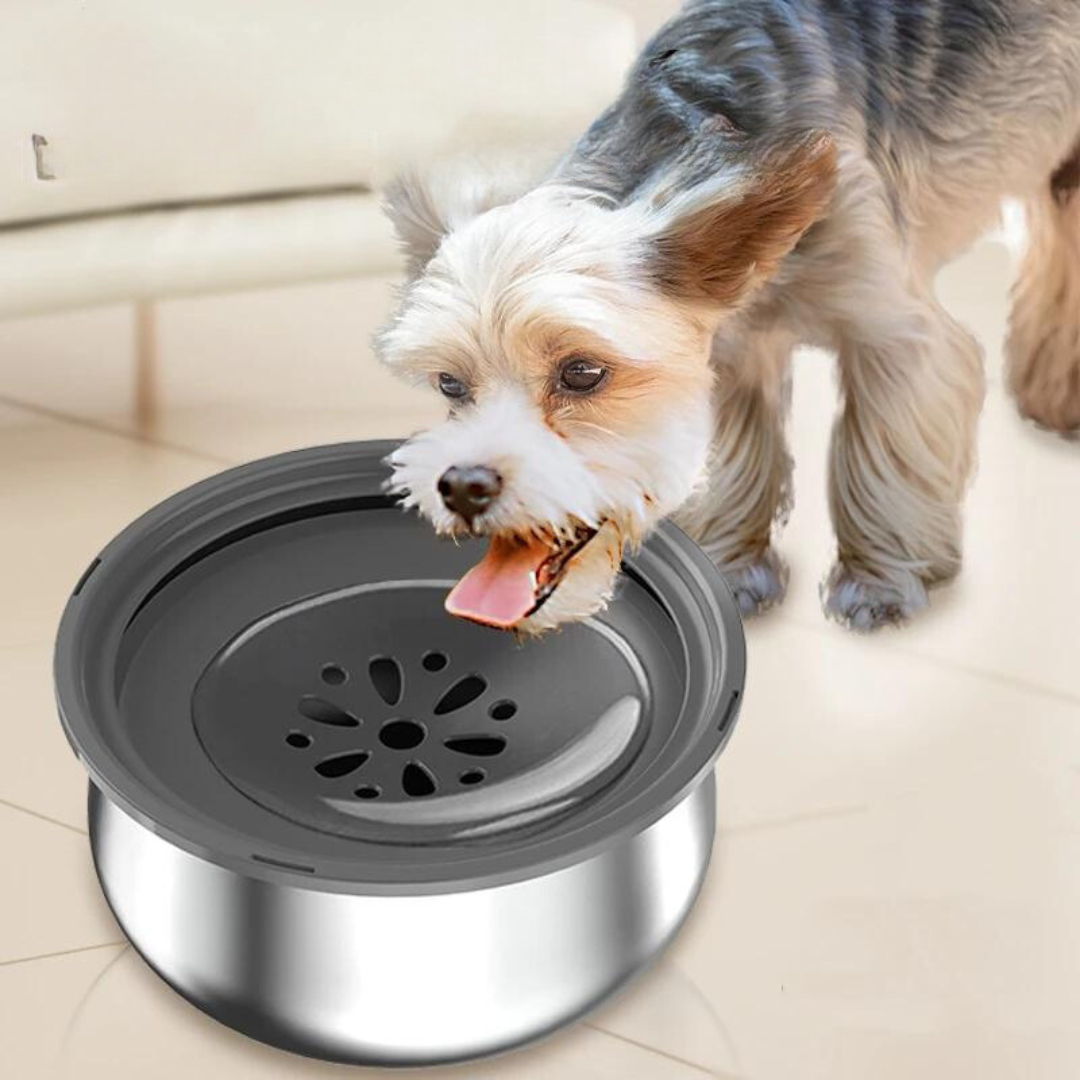 Anti-Splash Stainless Steel Floating Pet Bowl, 4L Capacity – Calmora™