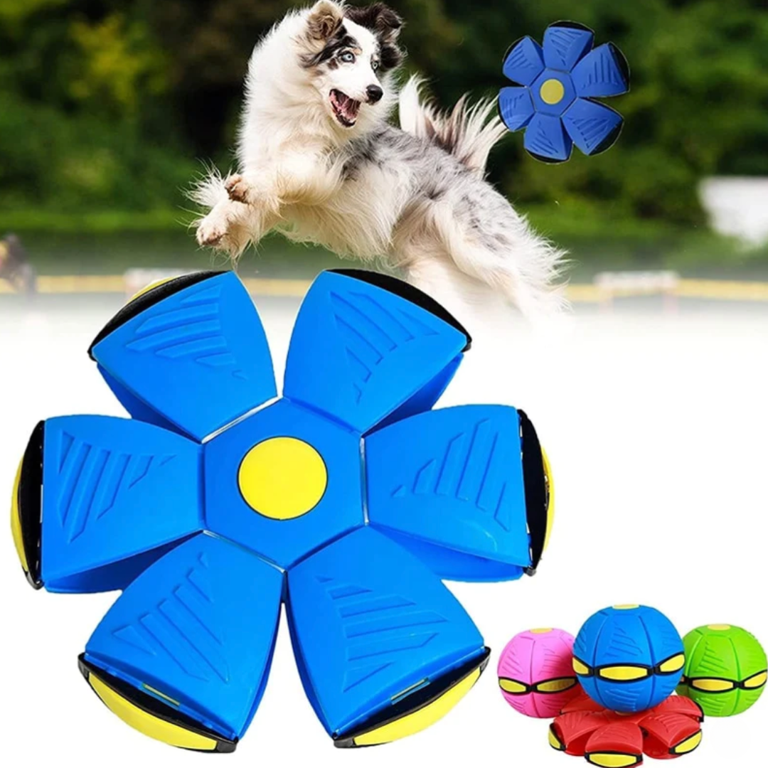 Interactive Pet Ball Toy with Light-Up Option for Dogs – Pulzo™