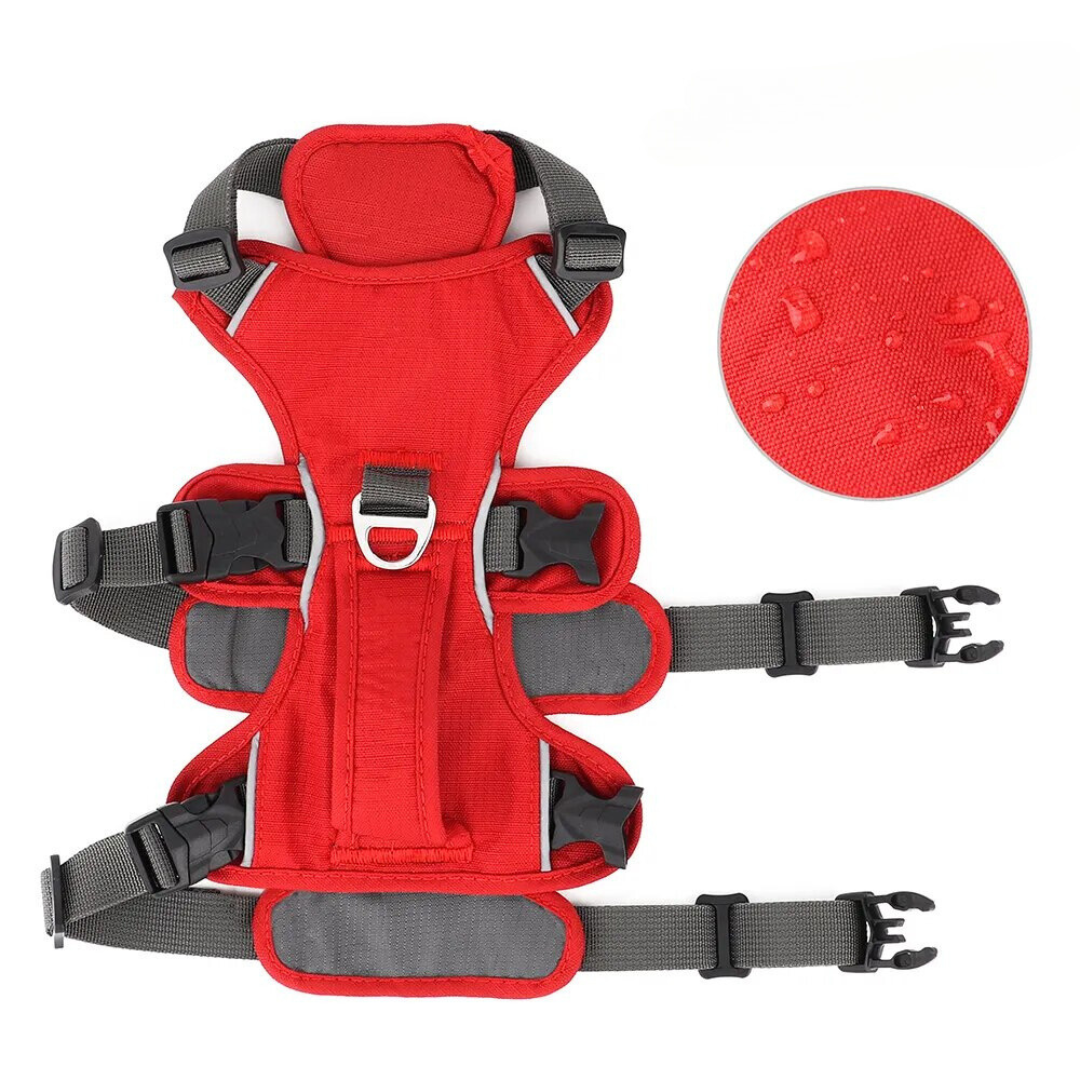 Padded Adjustable Chest Harness for Medium & Large Pets – Vorn™