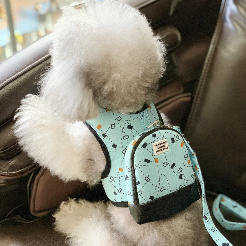 Vest Harness with Backpack and Leash for Pets – Paxwell™