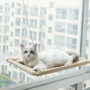 Suspended Window Cat Bed with Suction Cups – Perchly™