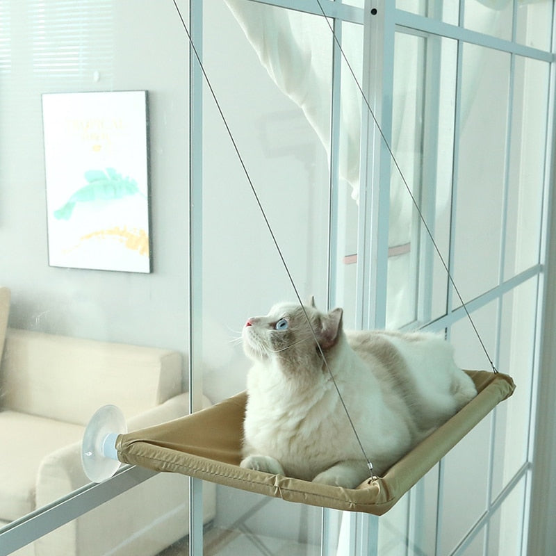 Suspended Window Cat Bed with Suction Cups – Perchly™