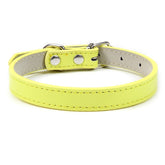 Basic Adjustable Pet Collar, Multiple Colors & Sizes – Daxwell™