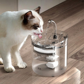 Automatic Pet Water Fountain with Carbon Filter – Clarivo™