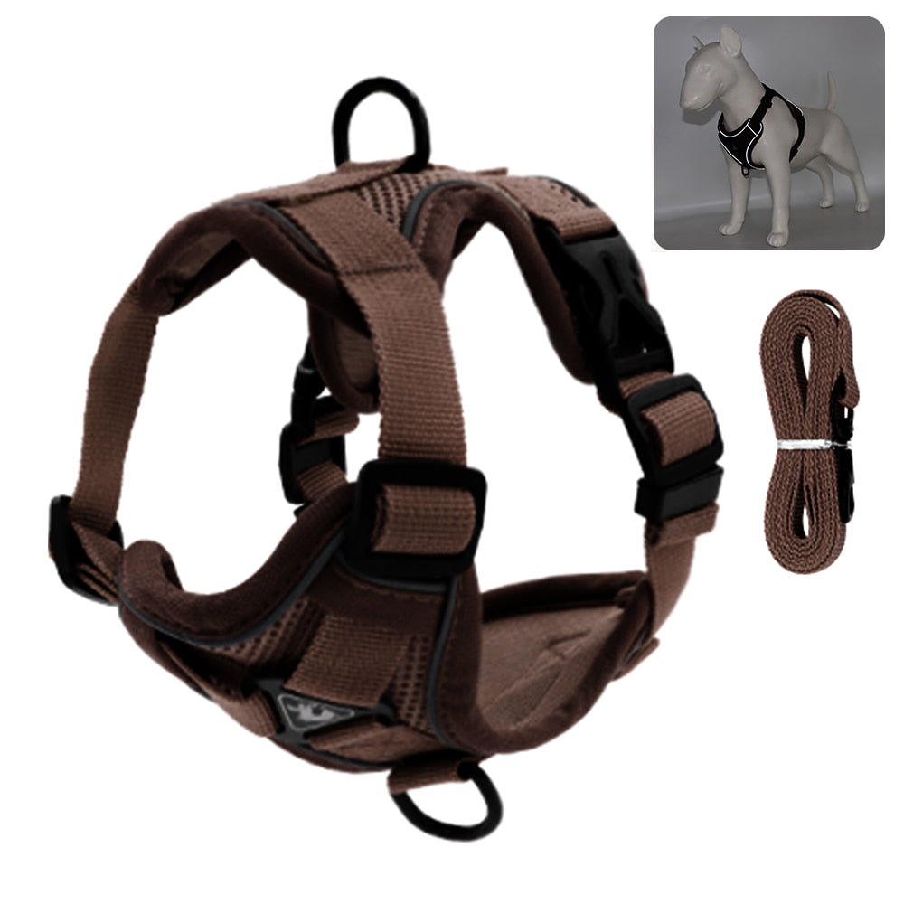 Reflective Collar and Leash Set for Dogs and Cats – ClipWalk™