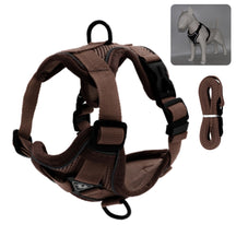 Reflective Collar and Leash Set for Dogs and Cats – ClipWalk™
