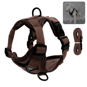Reflective Collar and Leash Set for Dogs and Cats – ClipWalk™