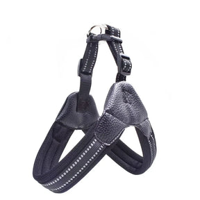 Padded Leather Chest Harness & Leash Set with Reflective Strip – Loxby™