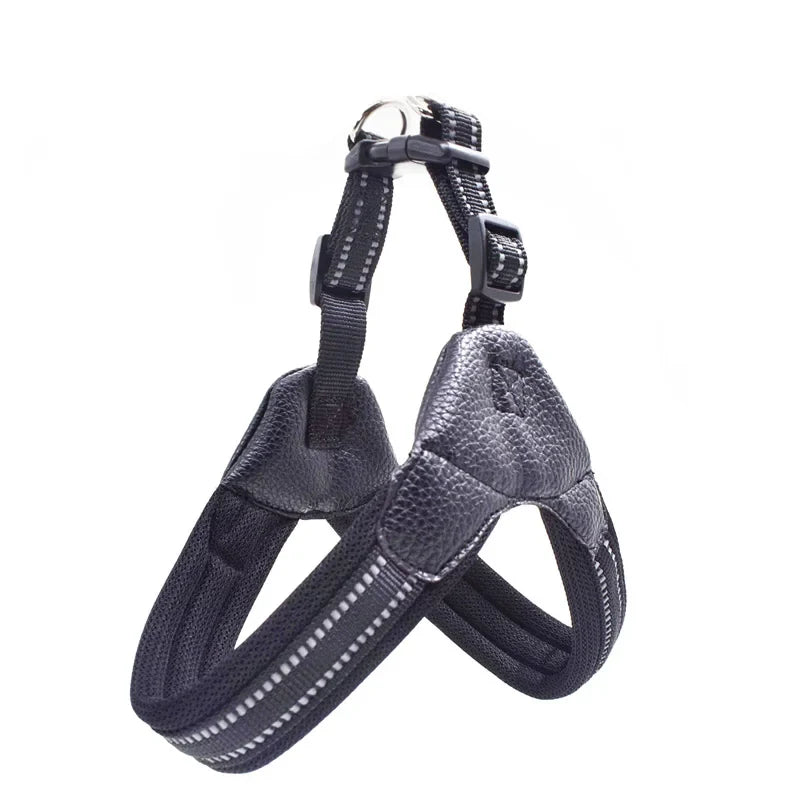 Padded Leather Chest Harness & Leash Set with Reflective Strip – Loxby™