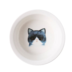 Elevated Ceramic Cat Bowl with Bamboo Stand – Whisko™