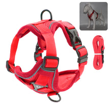 Reflective Collar and Leash Set for Dogs and Cats – ClipWalk™