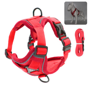 Reflective Collar and Leash Set for Dogs and Cats – ClipWalk™