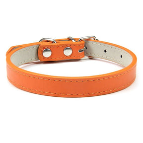 Basic Adjustable Pet Collar, Multiple Colors & Sizes – Daxwell™