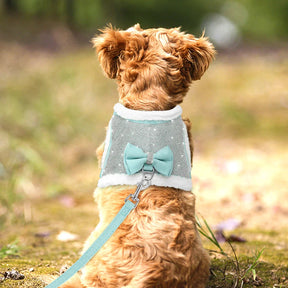 Cotton Pet Collar & Leash Set – Soft Everyday Walk Essentials – Loopwell™