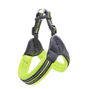 Padded Leather Chest Harness & Leash Set with Reflective Strip – Loxby™