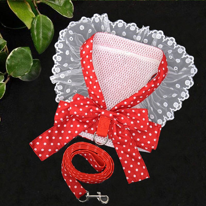 Bow-Style Collar & Leash Set with Adjustable Chest Fit – Pawlyn™