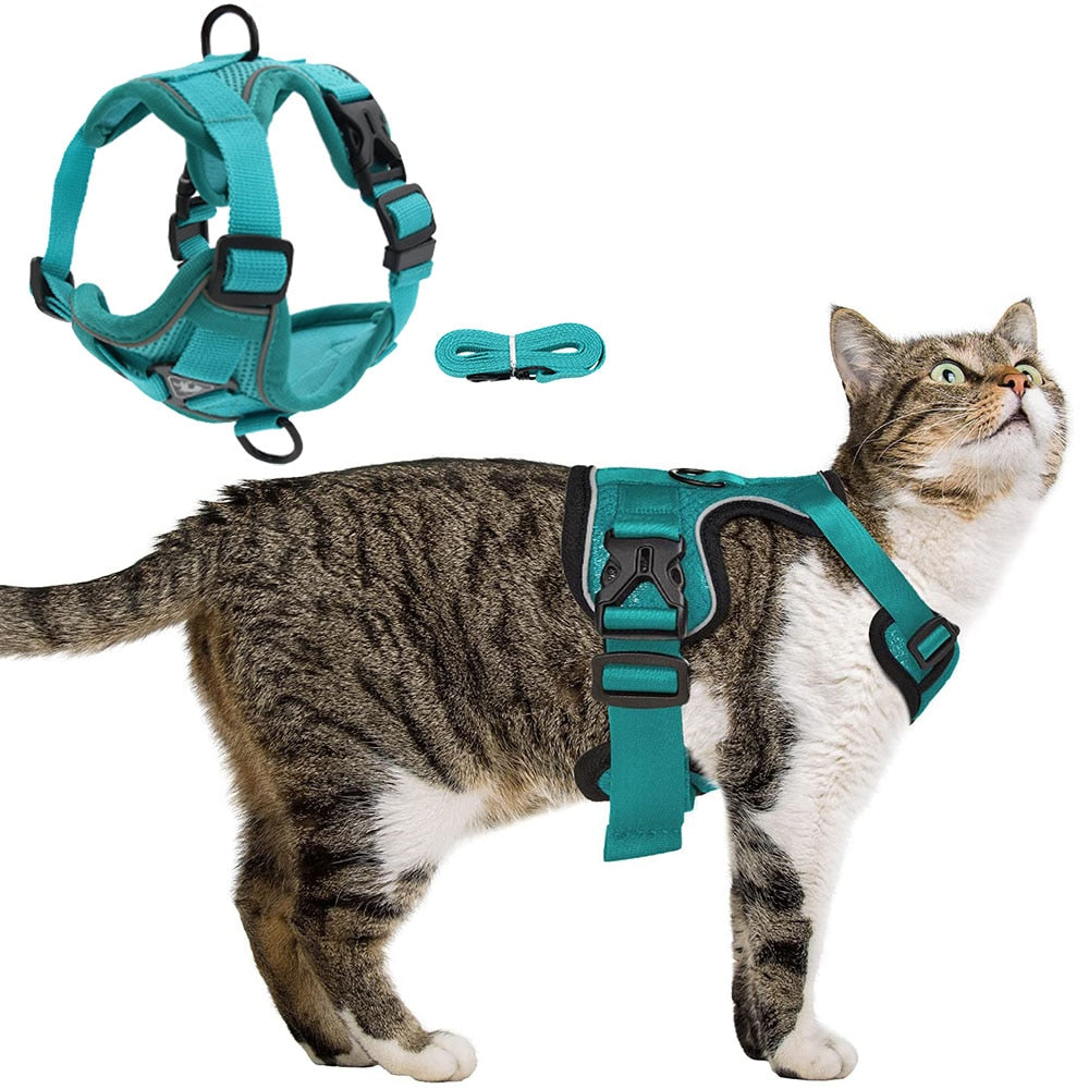 Reflective Collar and Leash Set for Dogs and Cats – ClipWalk™