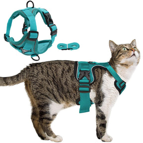 Reflective Collar and Leash Set for Dogs and Cats – ClipWalk™