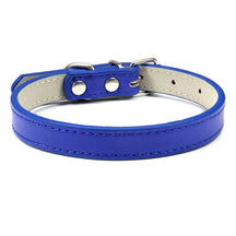 Basic Adjustable Pet Collar, Multiple Colors & Sizes – Daxwell™