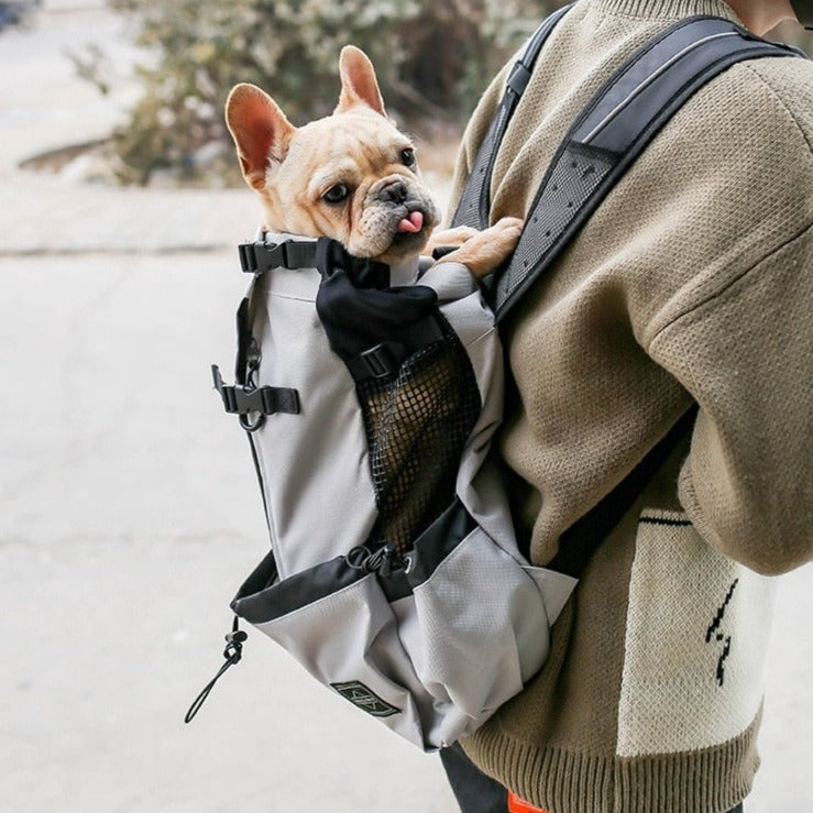 Backpack Pet Carrier for Travel - All Pet Sizes – Dena™