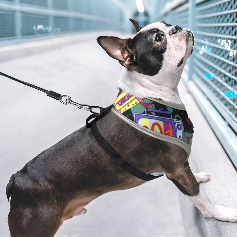 Reflective Adjustable Vest Harness for Small & Medium Pets – Havlyn™