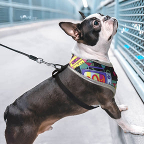 Reflective Adjustable Vest Harness for Small & Medium Pets – Havlyn™