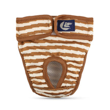 Striped Washable Dog Diaper for Urinary Incontinence – Quilby™
