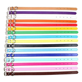 Basic Adjustable Pet Collar, Multiple Colors & Sizes – Daxwell™