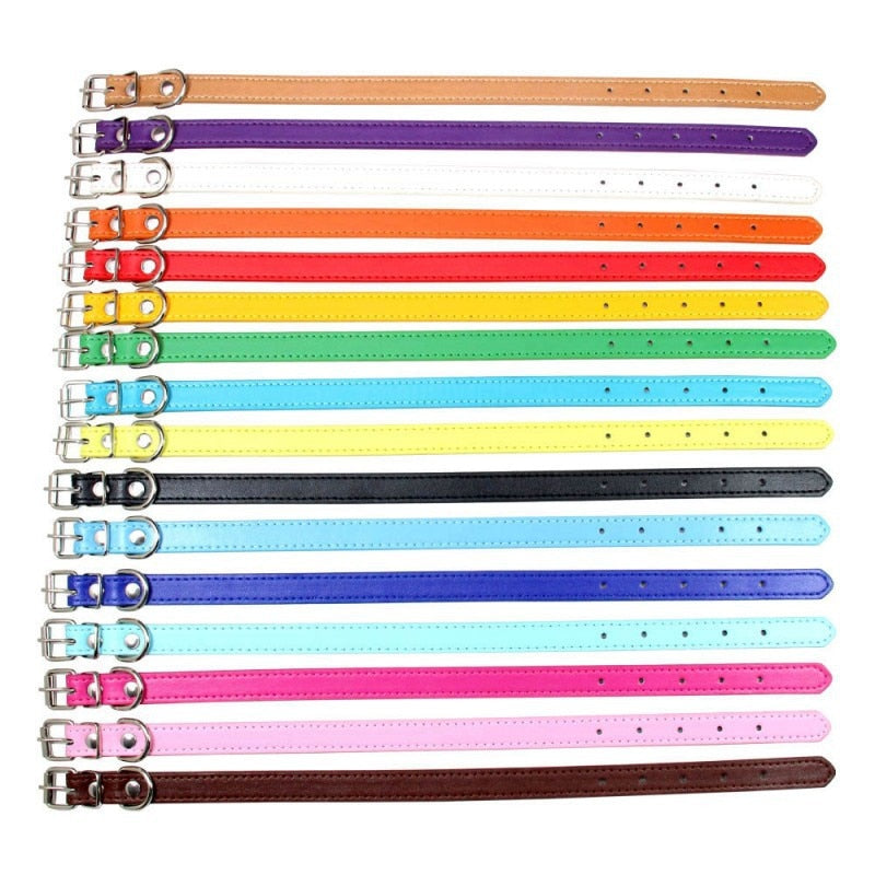 Basic Adjustable Pet Collar, Multiple Colors & Sizes – Daxwell™