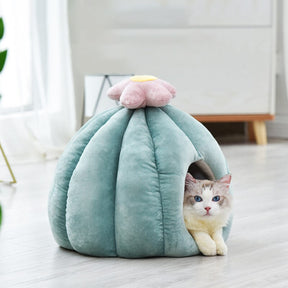 Flower-Shaped Pet Bed with Removable Cushion – CactusBloom™