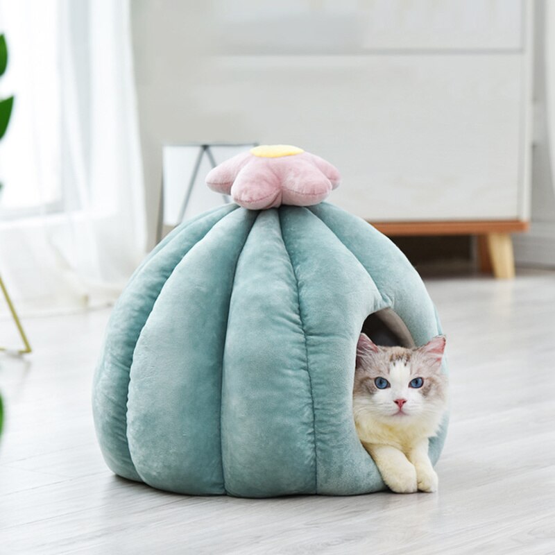 Flower-Shaped Pet Bed with Removable Cushion – CactusBloom™