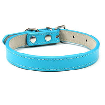 Basic Adjustable Pet Collar, Multiple Colors & Sizes – Daxwell™