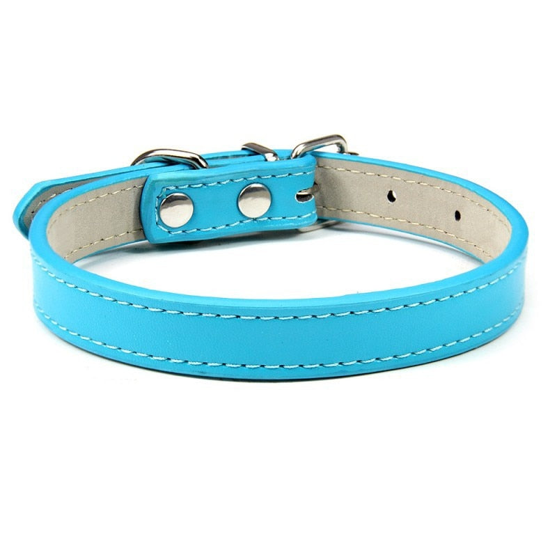 Basic Adjustable Pet Collar, Multiple Colors & Sizes – Daxwell™
