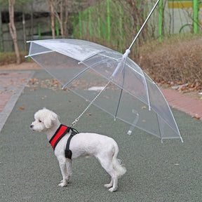 Clear Umbrella Pet Leash for Rain Protection Walks – RainWalk™
