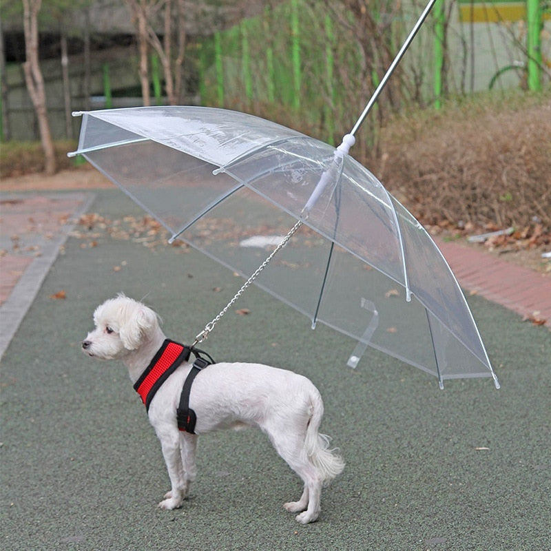 Clear Umbrella Pet Leash for Rain Protection Walks – RainWalk™