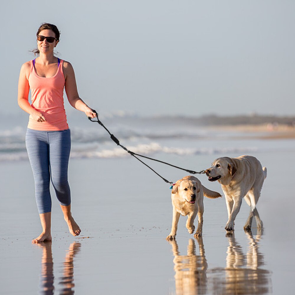 3-Way Dog Coupler Leash for Up to 3 Dogs with Padded Handle – Trivo™