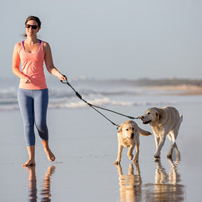 3-Way Dog Coupler Leash for Up to 3 Dogs with Padded Handle – Trivo™